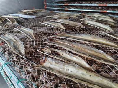 广西海产品烘干机补贴政策详解与烘干固化设备优势